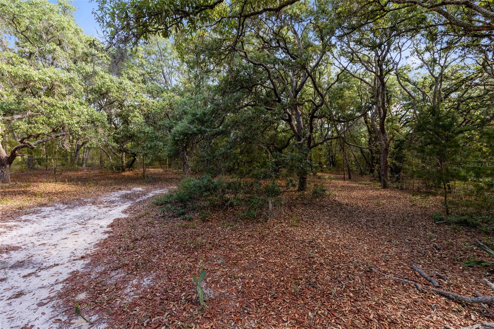 MOR TAY TRL, KISSIMMEE, FL, 34747