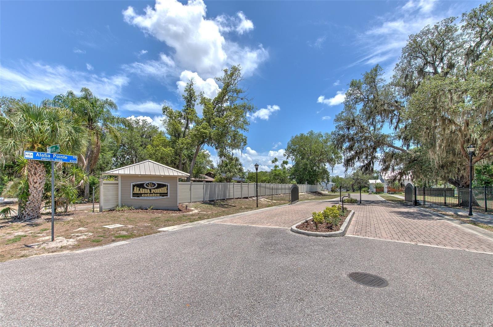 8325 ALAFIA POINTE DR, RIVERVIEW, FL, 33578