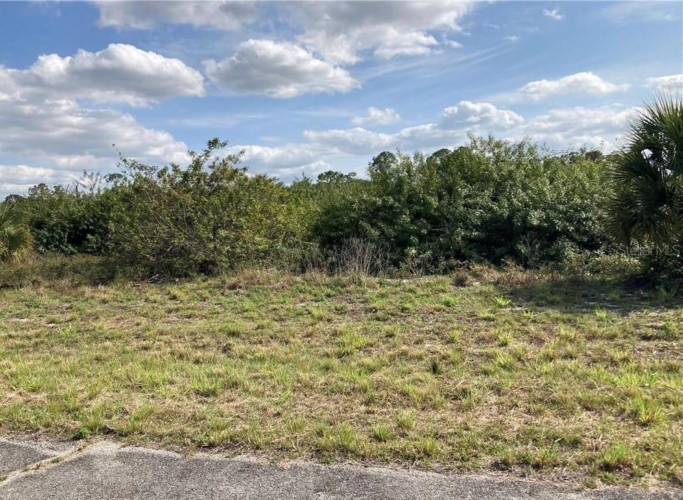 208 ELMWOOD ST, LABELLE, FL, 33935