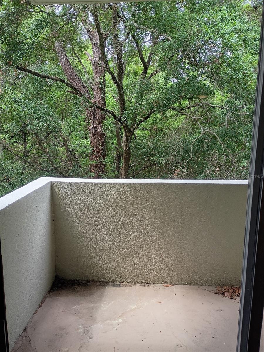 GAINESWOOD, GAINESVILLE, FL, 32605