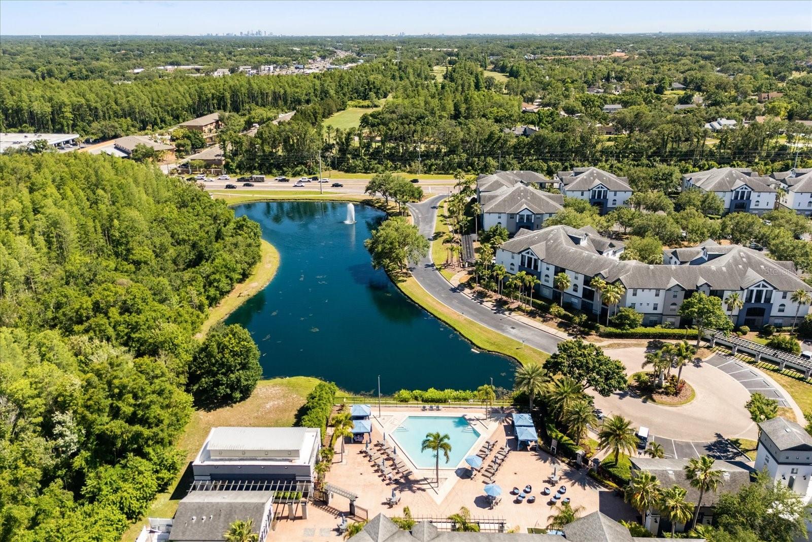 4007 BANGALOW PALM CT #4007, TAMPA, FL, 33624