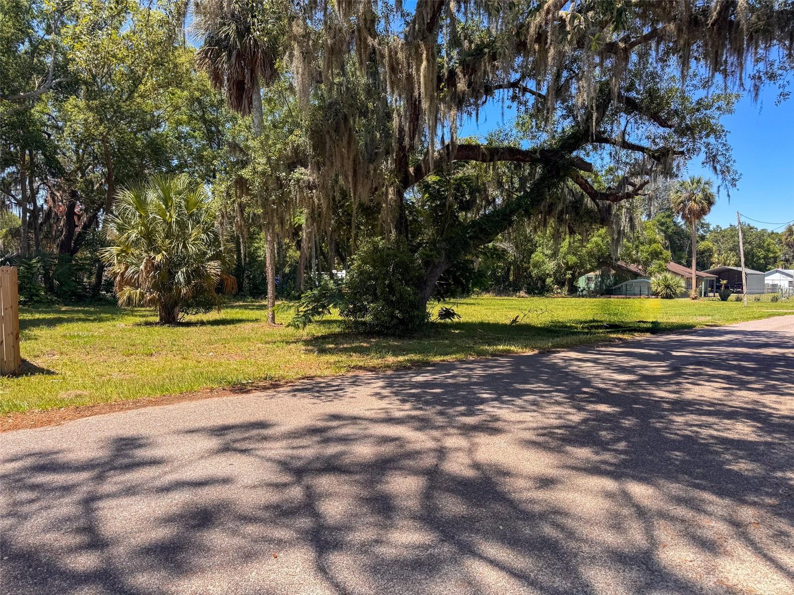 Lot 00200 LENORD ST, UMATILLA, FL, 32784