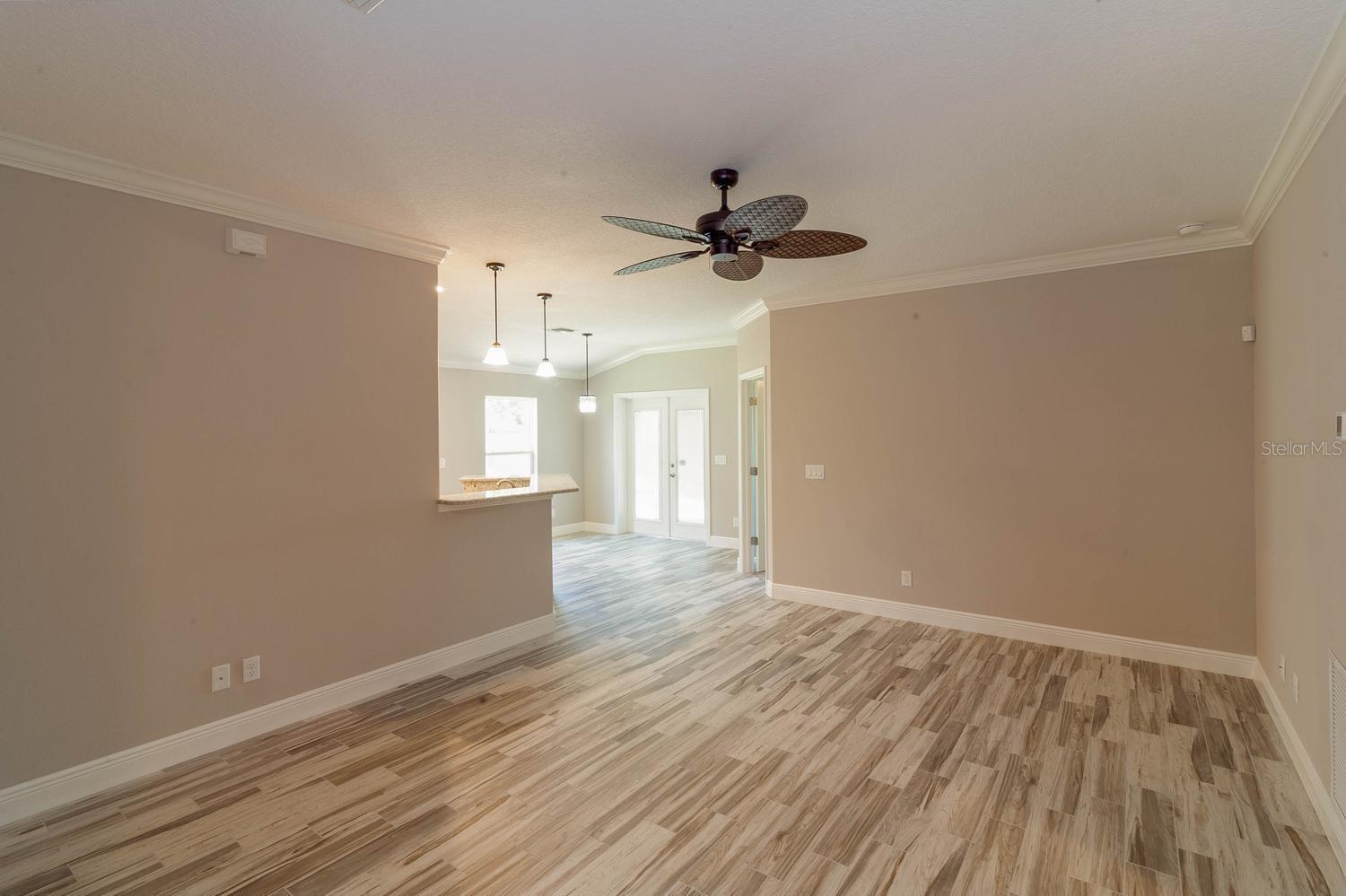16200 LENORD ST, UMATILLA, FL, 32784
