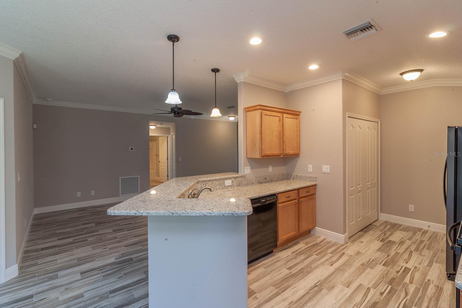 16200 LENORD ST, UMATILLA, FL, 32784