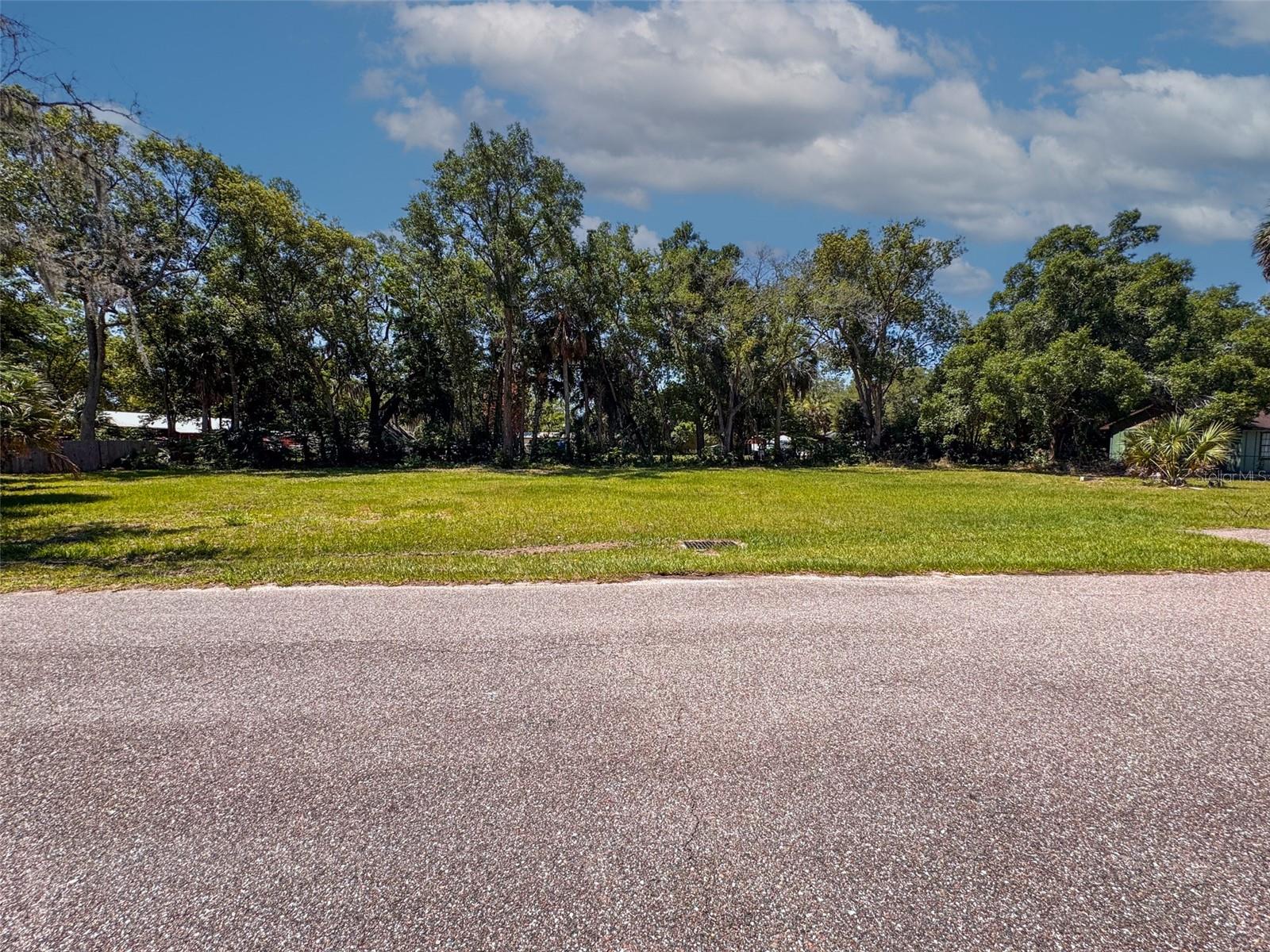 16200 LENORD ST, UMATILLA, FL, 32784