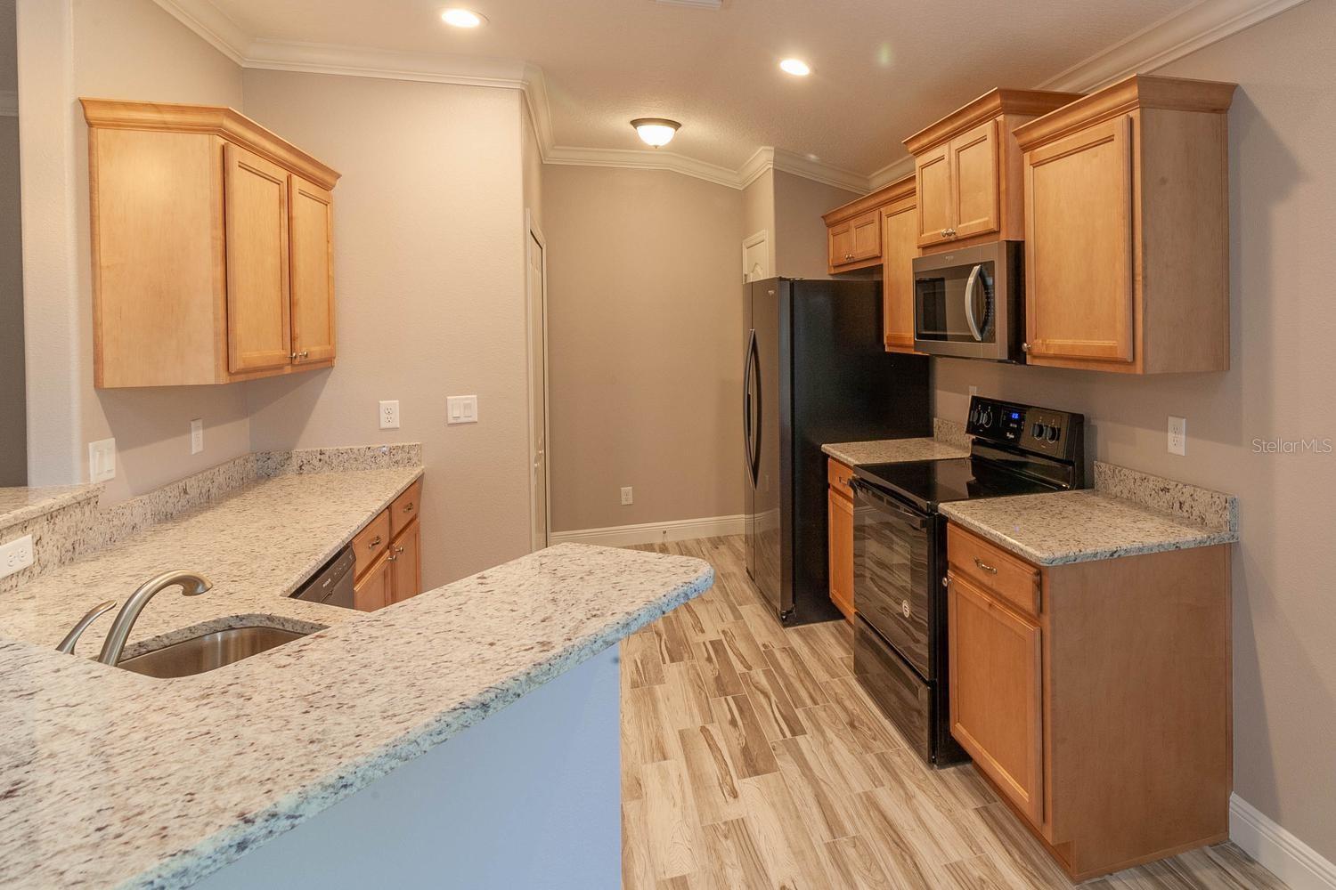 16200 LENORD ST, UMATILLA, FL, 32784