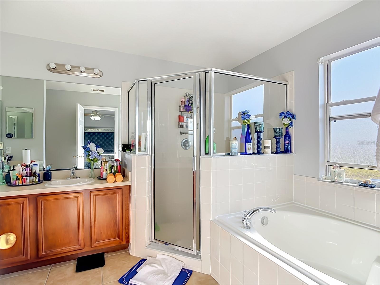 1425 NELSON BROOK WAY, KISSIMMEE, FL, 34759
