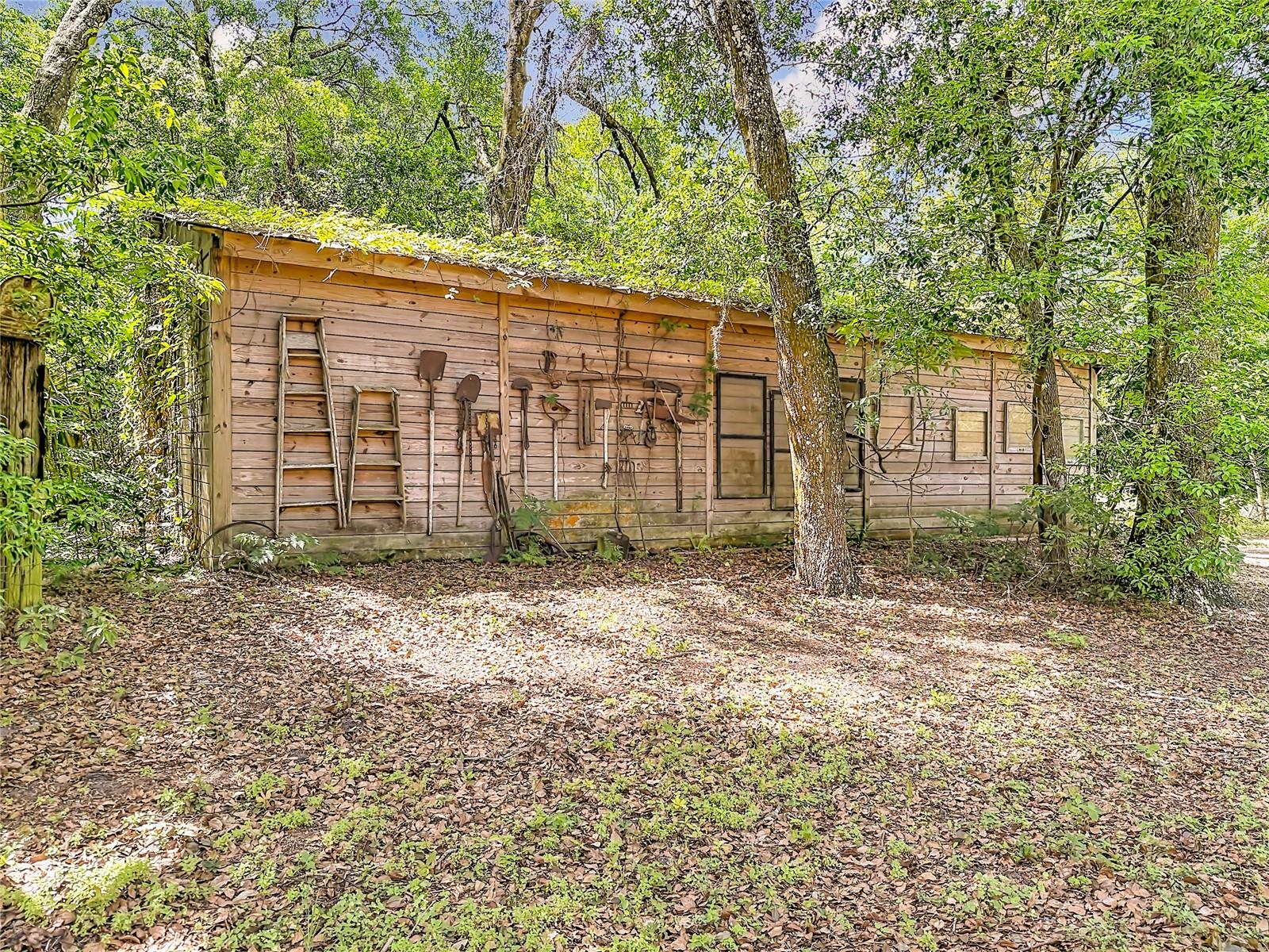 806 S LAKE PLEASANT RD, APOPKA, FL, 32703