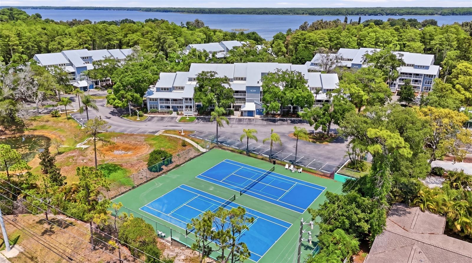 2533 DOLLY BAY DR #107, PALM HARBOR, FL, 34684