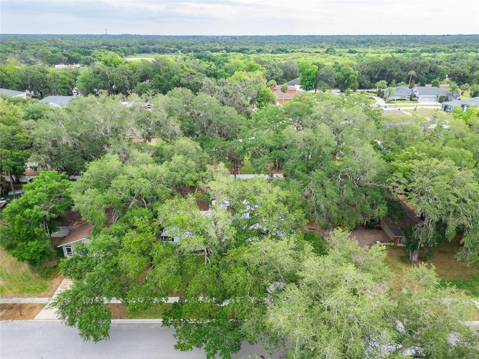 903 OLD DARBY ST, SEFFNER, FL, 33584