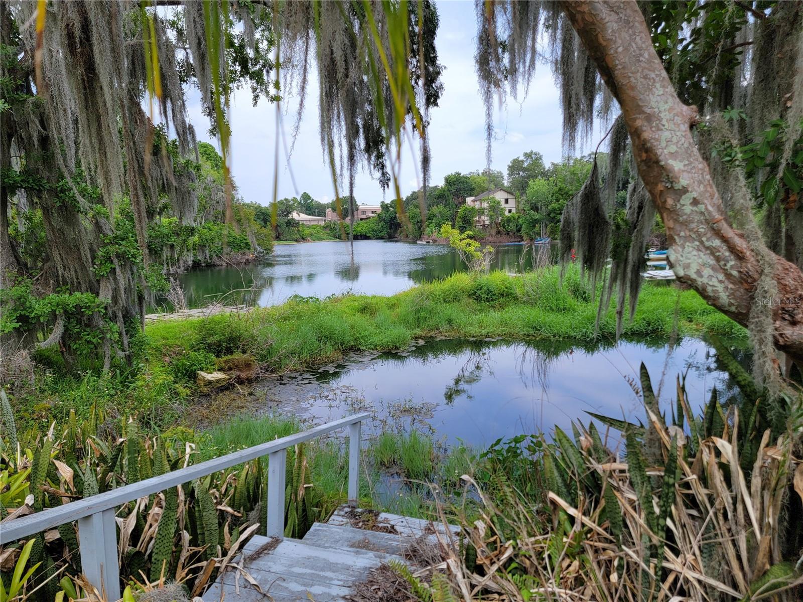 920 LAKE COVE TRL, LAKELAND, FL, 33813