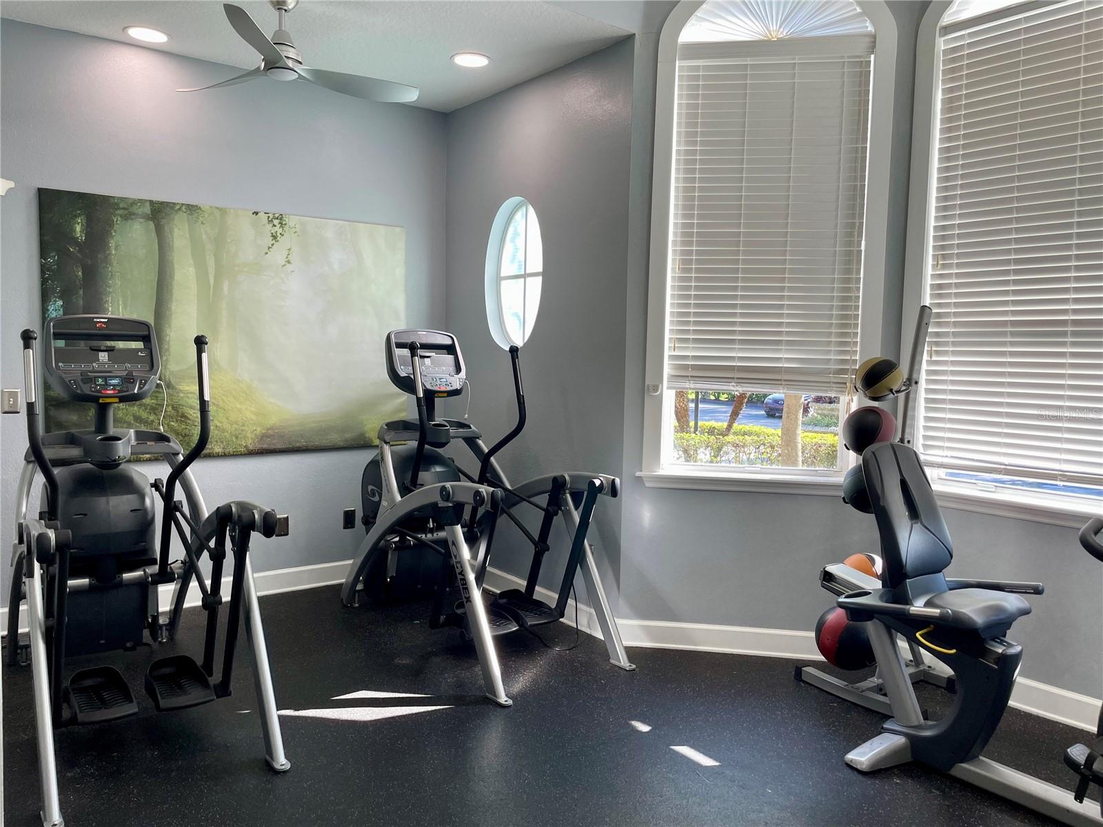738 CREST PINES DR #728, ORLANDO, FL, 32828