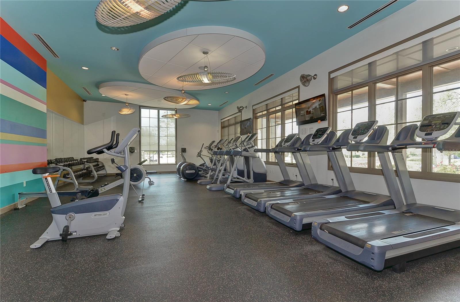 5301 MATCH POINT PL, LITHIA, FL, 33547
