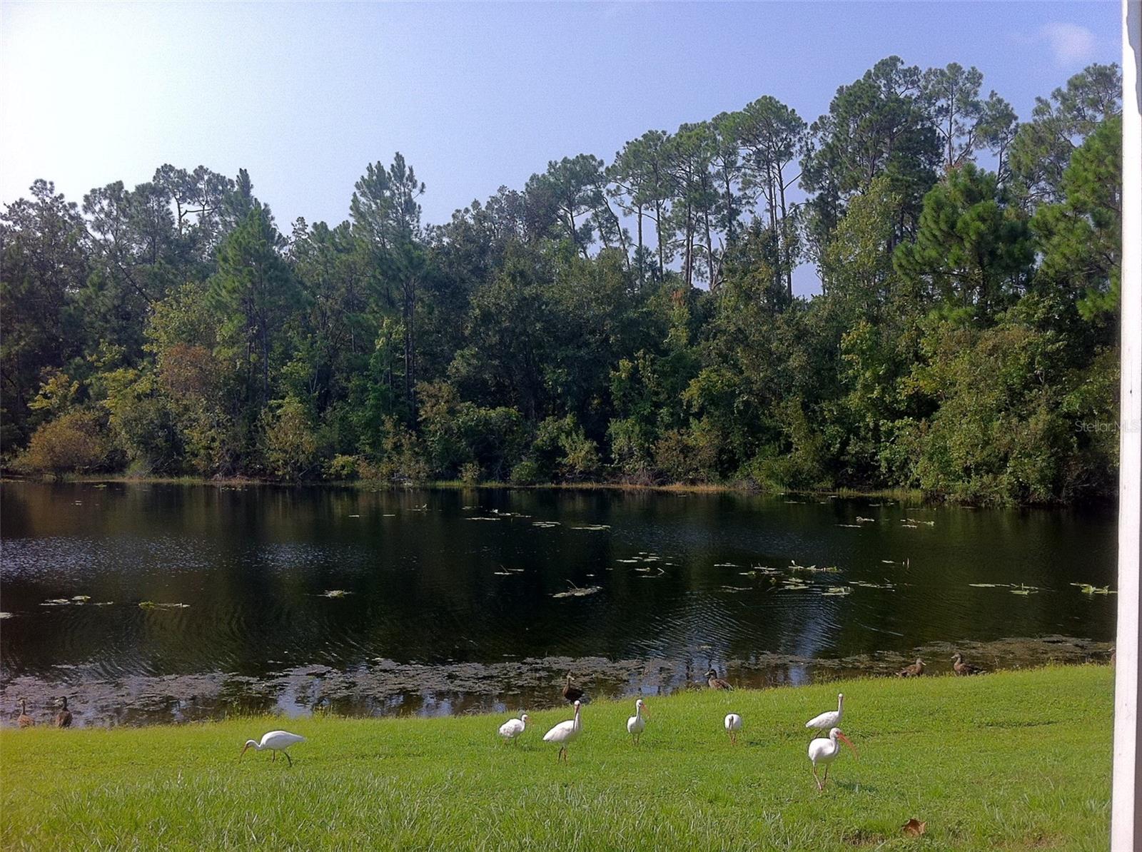 2468 SWEETWATER CLUB CIR #111, KISSIMMEE, FL, 34746