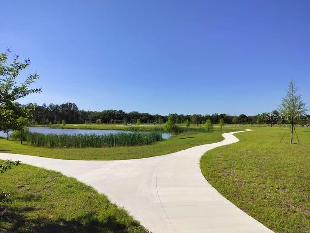 1358 KINGS CROWN ST, MOUNT DORA, FL, 32757