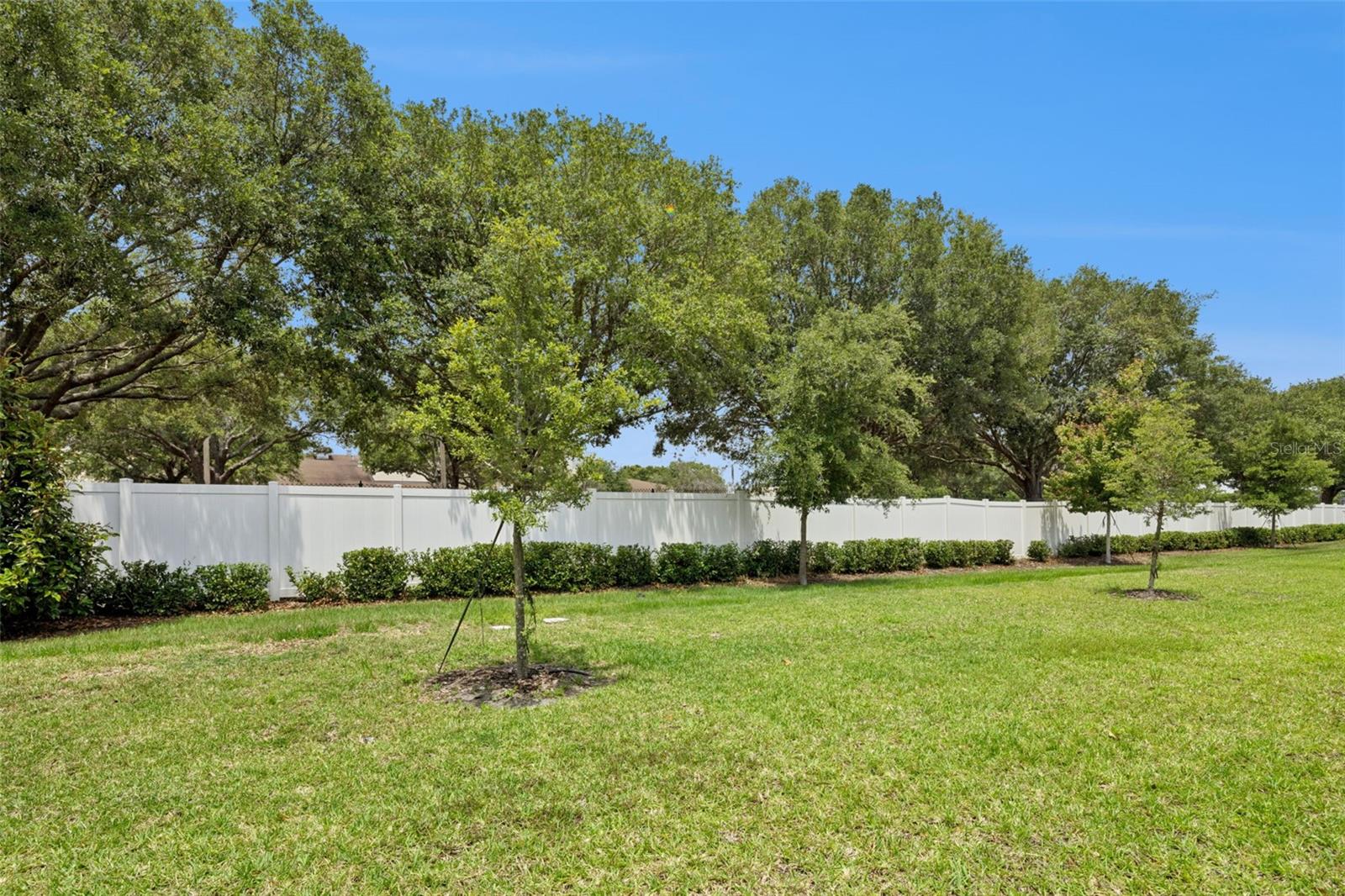 2097 CRAPE JASMINE LN, ORLANDO, FL, 32824