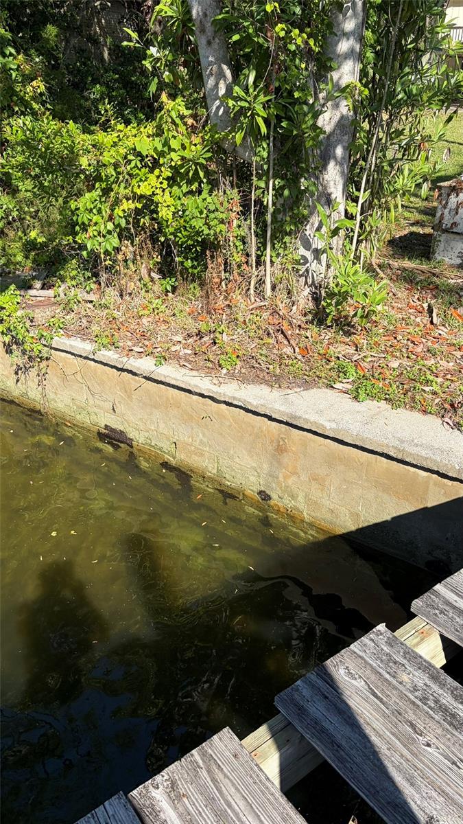 6601 RIVERSIDE DR, YANKEETOWN, FL, 34498
