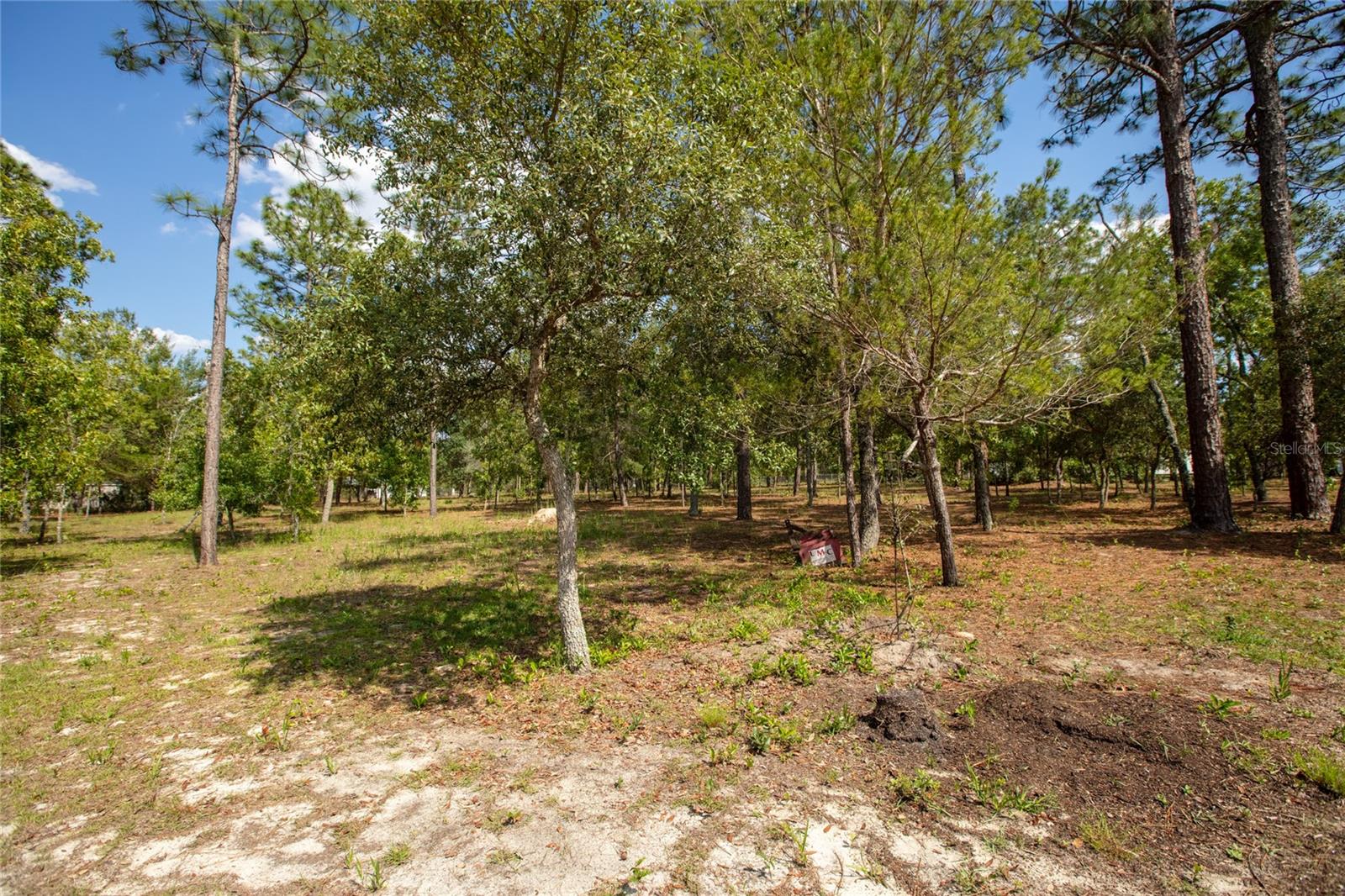 5670 ACADIA ST, KEYSTONE HEIGHTS, FL, 32656