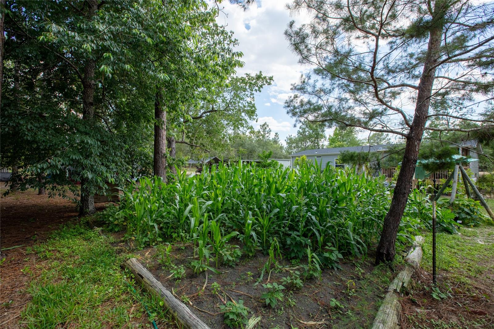 5670 ACADIA ST, KEYSTONE HEIGHTS, FL, 32656