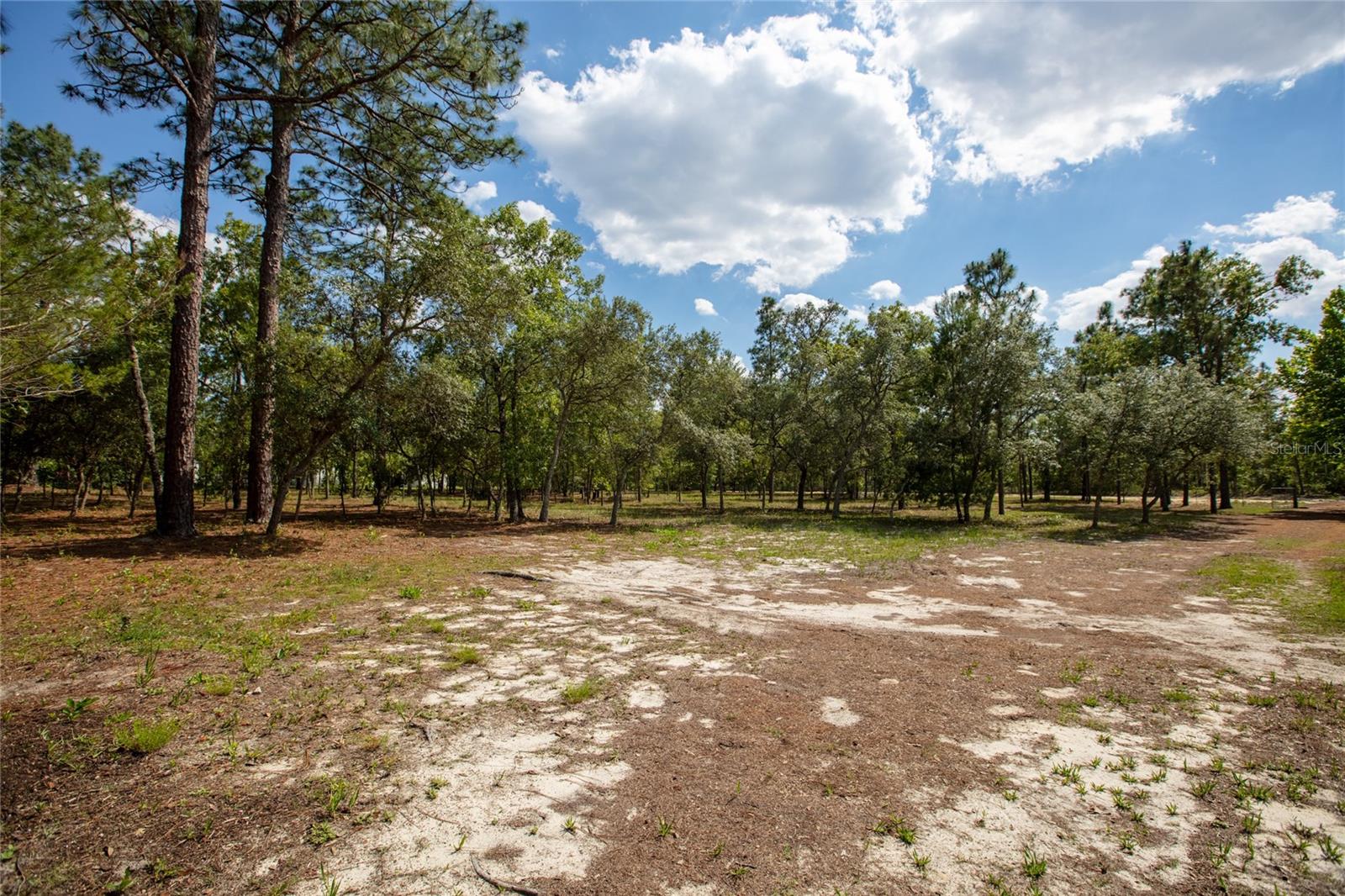 5670 ACADIA ST, KEYSTONE HEIGHTS, FL, 32656