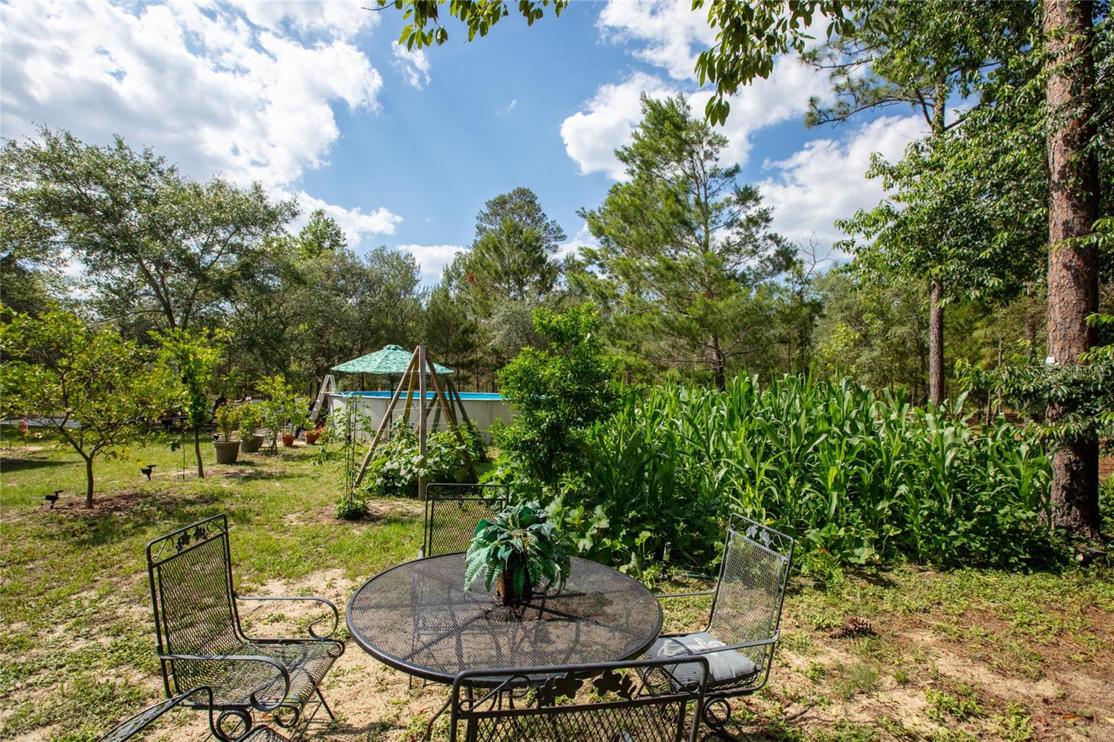 5670 ACADIA ST, KEYSTONE HEIGHTS, FL, 32656