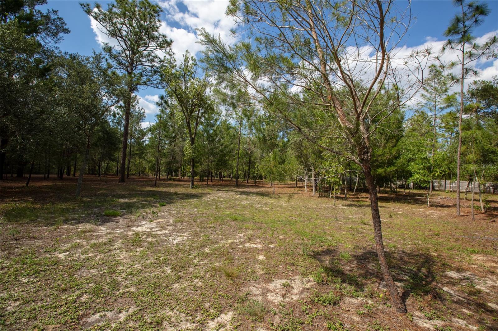 5670 ACADIA ST, KEYSTONE HEIGHTS, FL, 32656