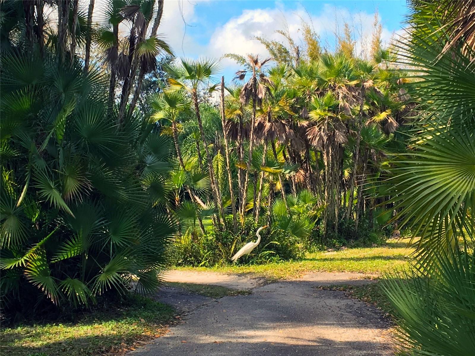 MAPLE LKS, SARASOTA, FL, 34243
