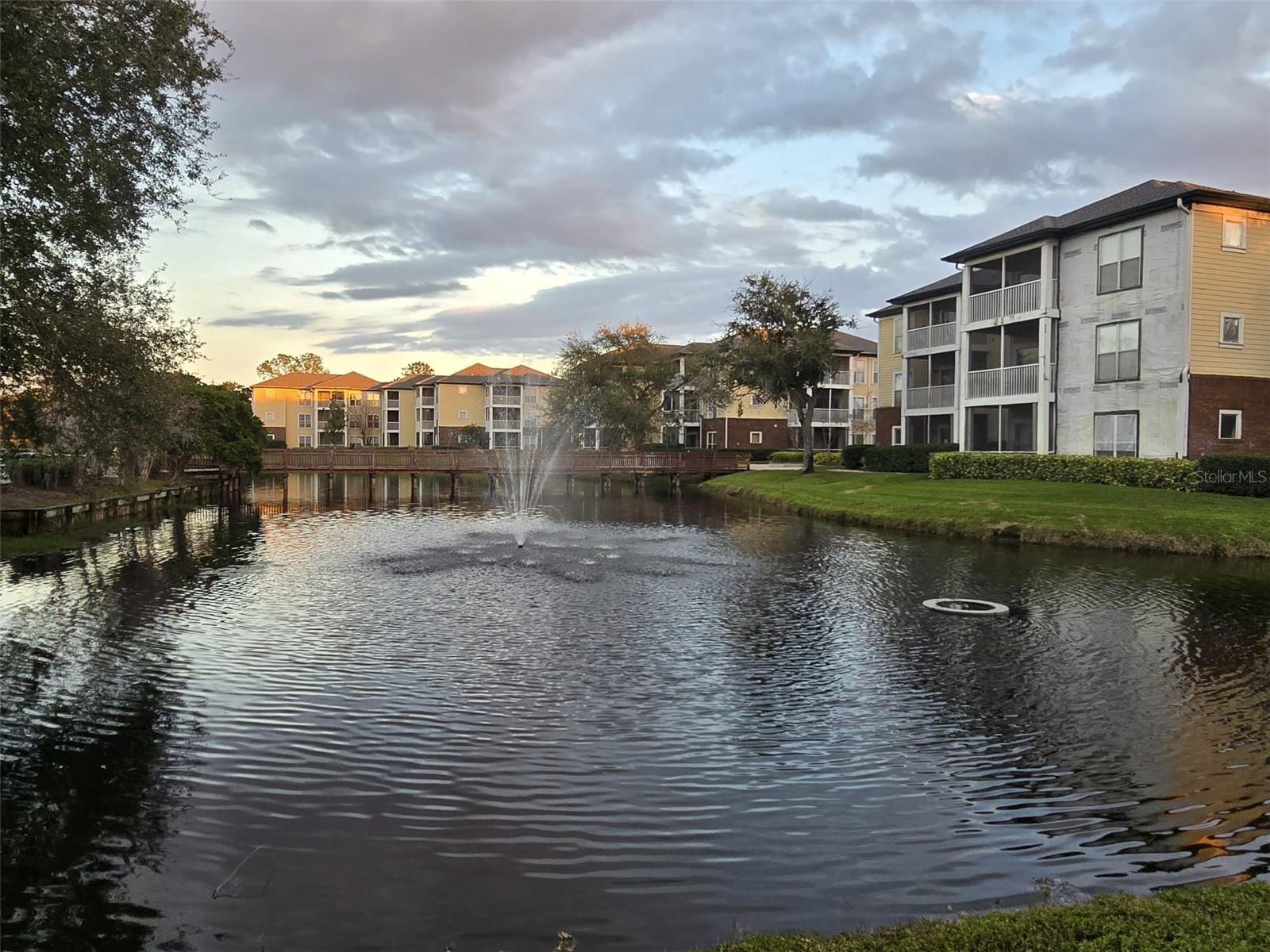 4115 CHATHAM OAK CT #218, TAMPA, FL, 33624