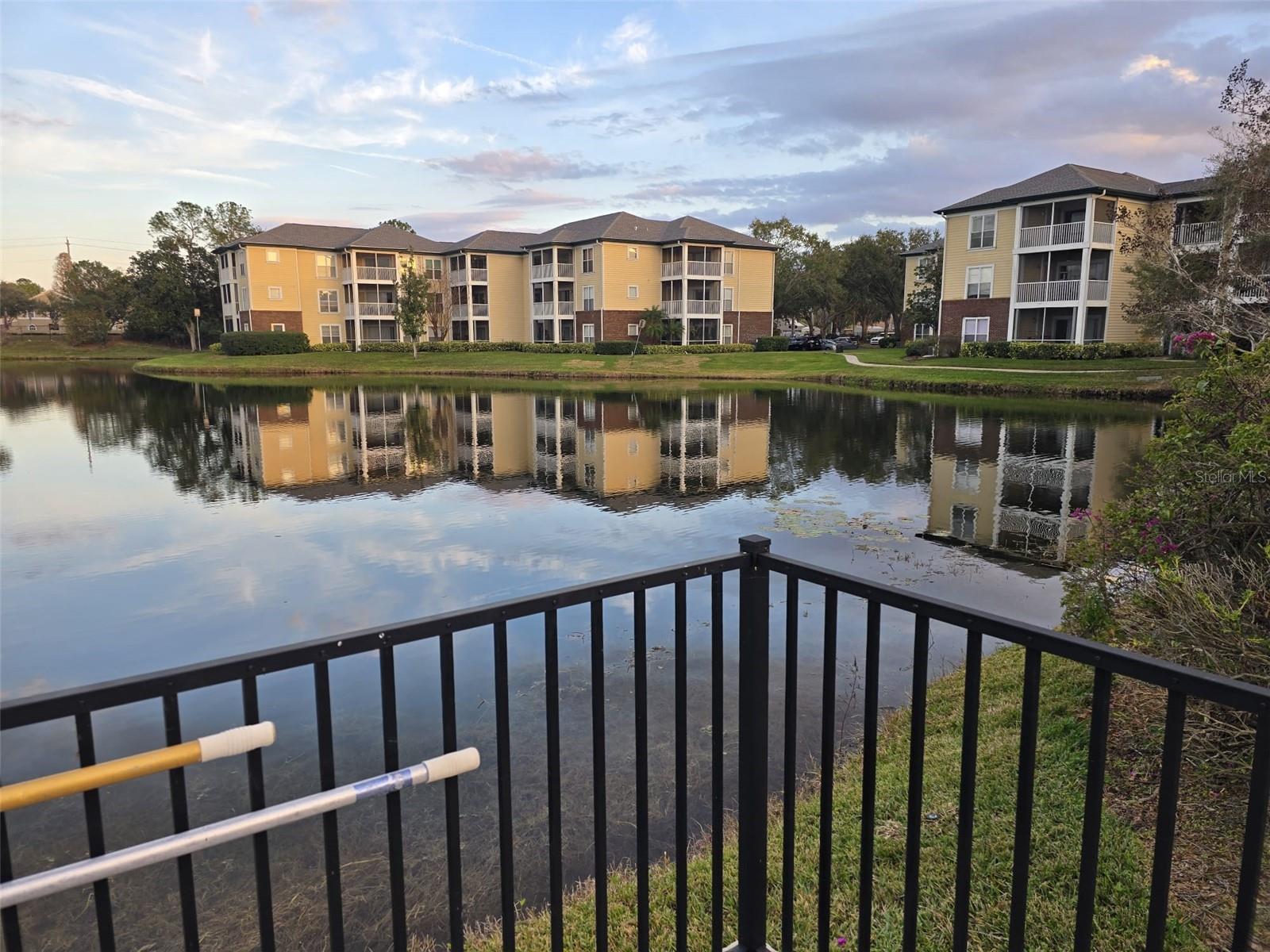 4115 CHATHAM OAK CT #218, TAMPA, FL, 33624