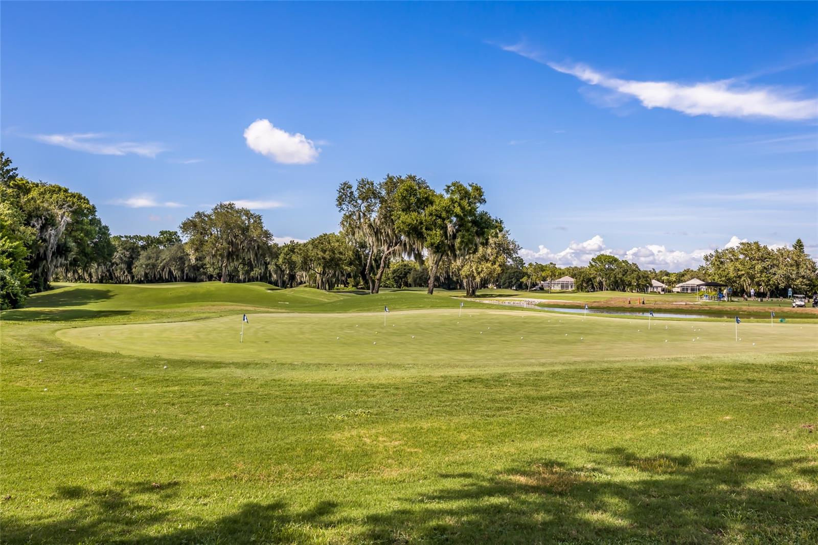 4821 ROYAL DORNOCH CIR, BRADENTON, FL, 34211