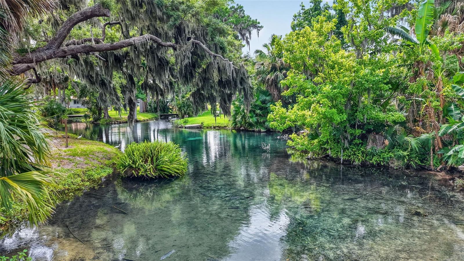 5 LONESOME PINE TRL, YALAHA, FL, 34797
