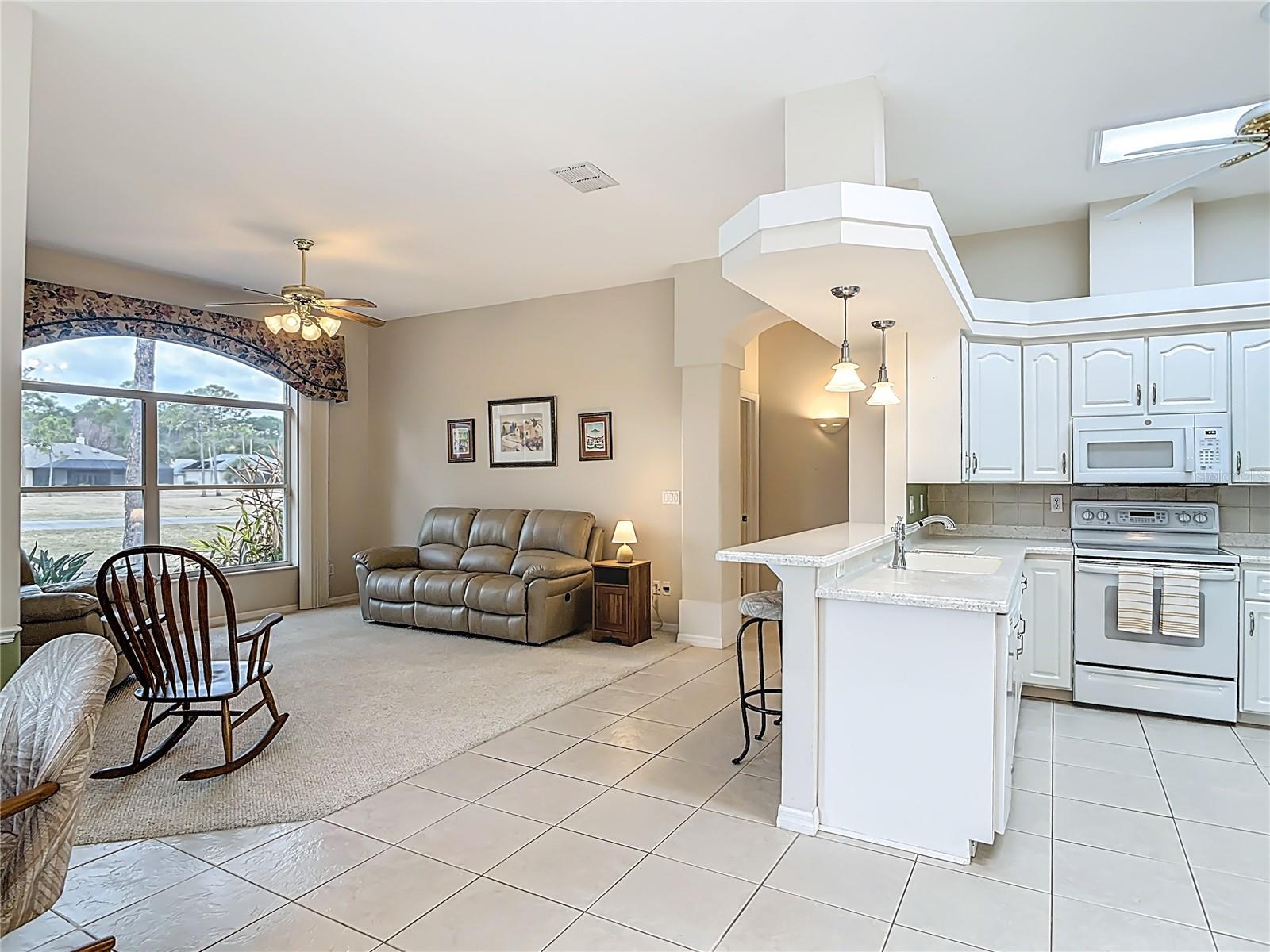 6452 RENAISSANCE DR, PORT ORANGE, FL, 32128