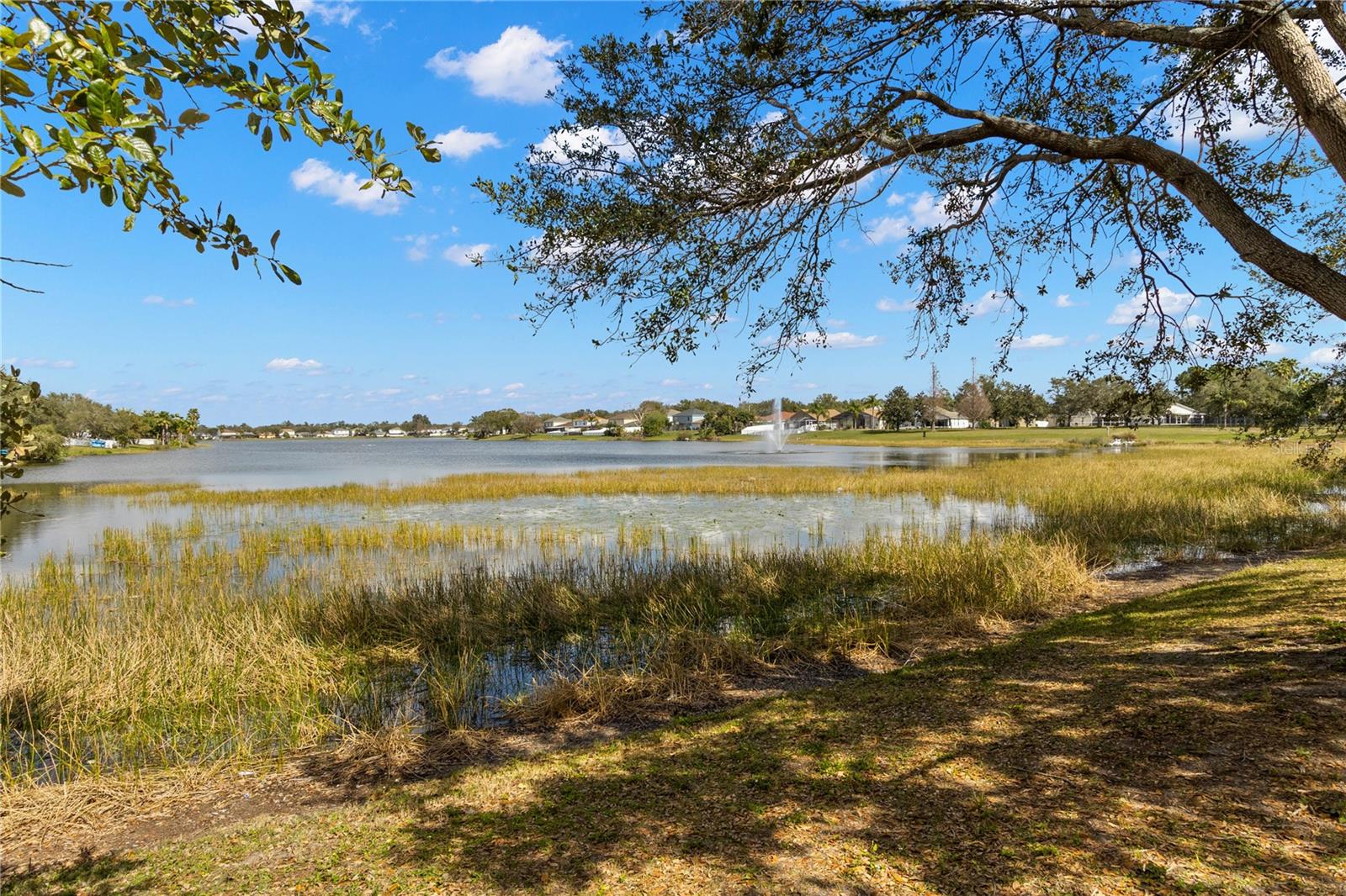 13137 KINGS CROSSING DR, GIBSONTON, FL, 33534