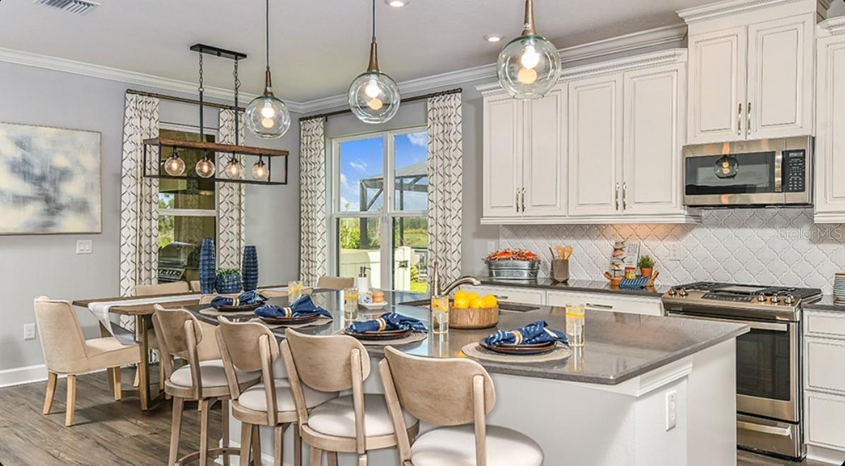 3888 MASANIELLO WAY, WESLEY CHAPEL, FL, 33543