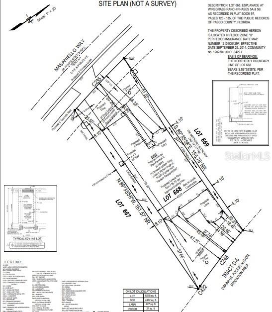 3888 MASANIELLO WAY, WESLEY CHAPEL, FL, 33543