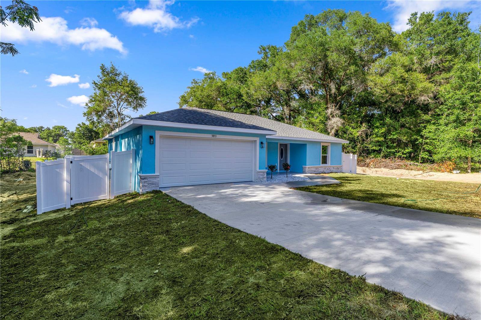 3853 SE 139TH LN, SUMMERFIELD, FL, 34491