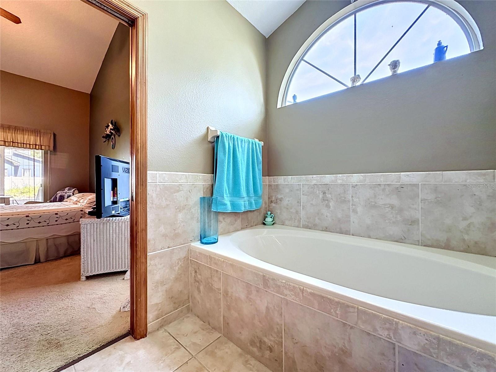 1681 E SPRING RIDGE CIR, WINTER GARDEN, FL, 34787