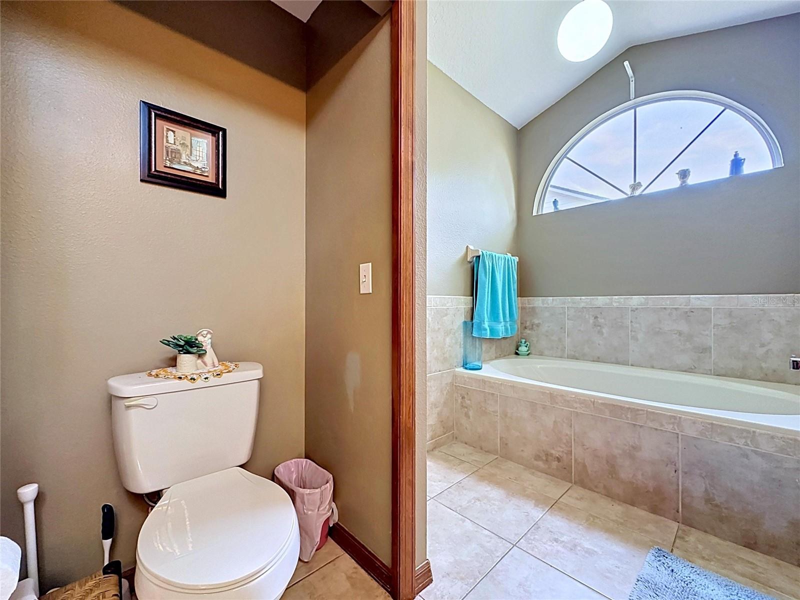 1681 E SPRING RIDGE CIR, WINTER GARDEN, FL, 34787