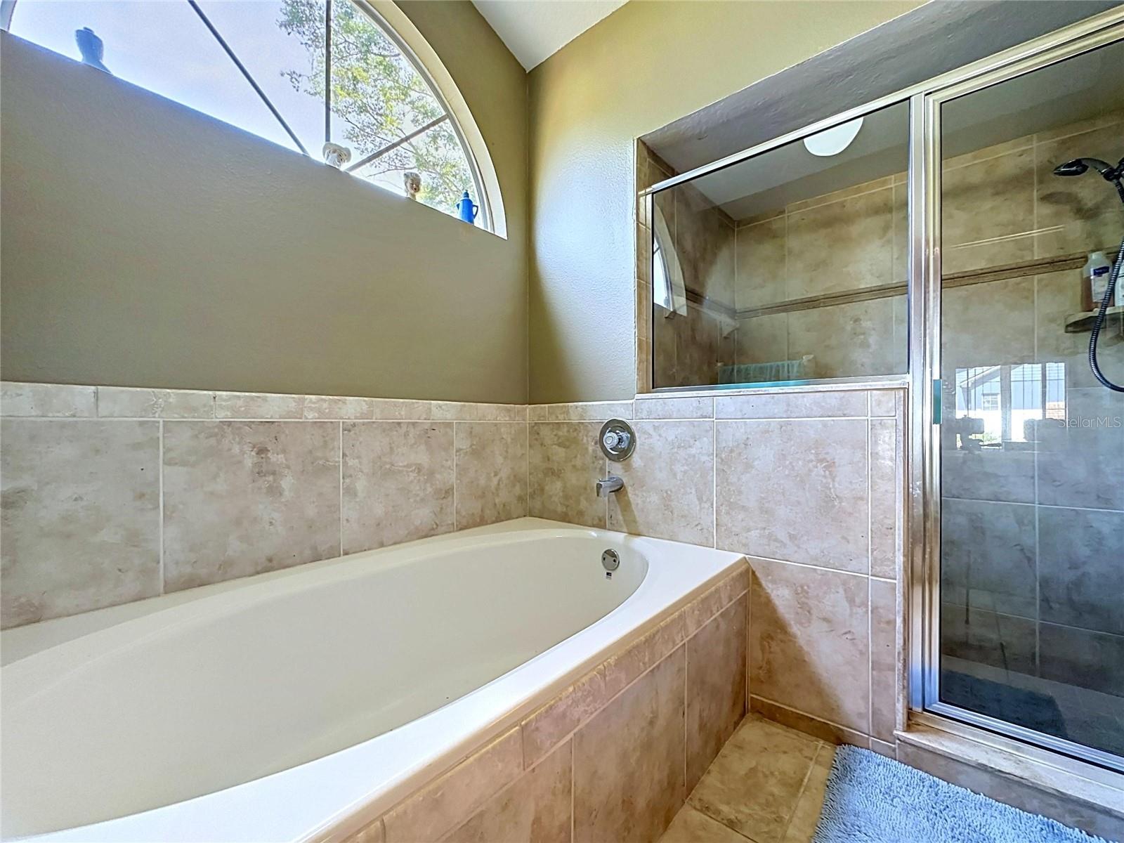 1681 E SPRING RIDGE CIR, WINTER GARDEN, FL, 34787