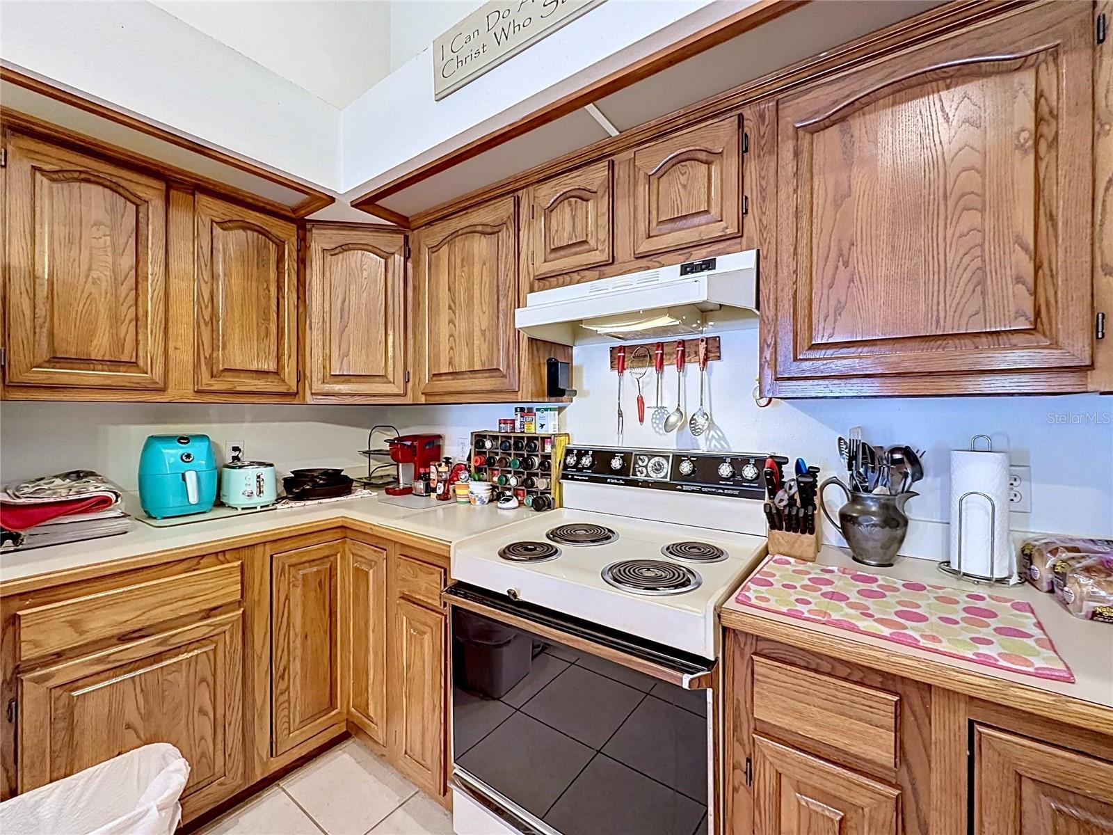 1681 E SPRING RIDGE CIR, WINTER GARDEN, FL, 34787