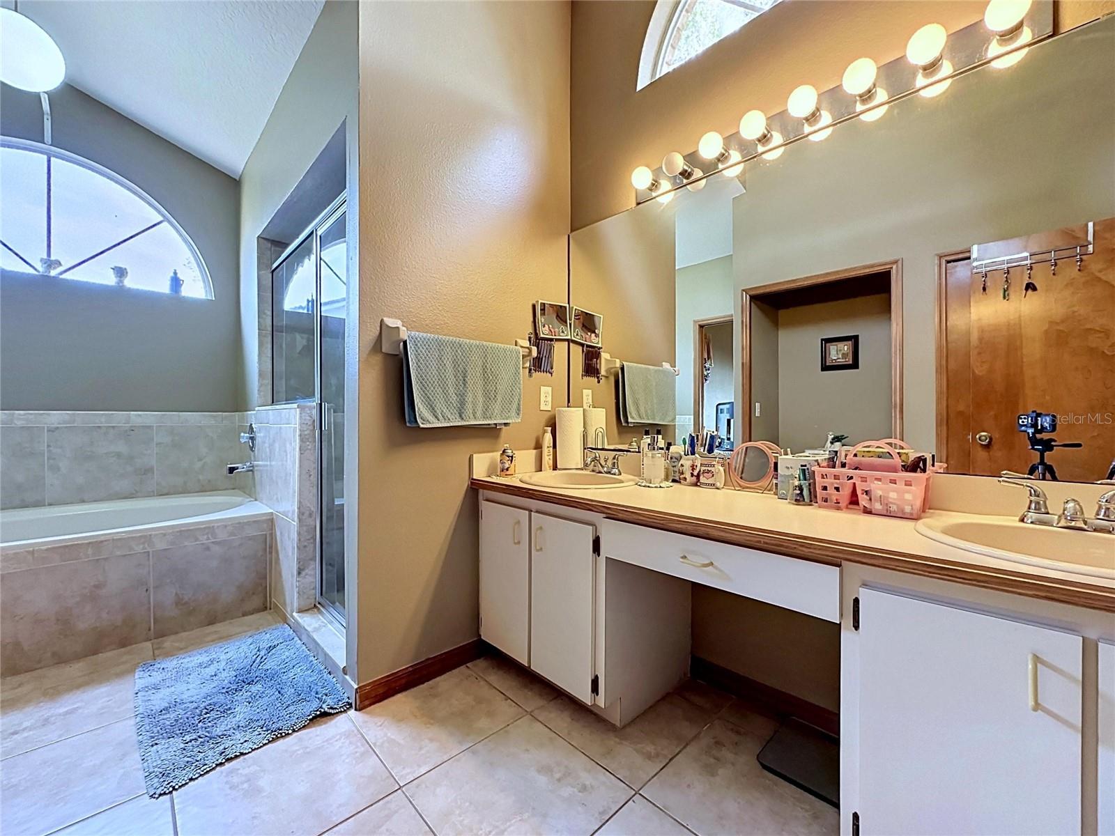 1681 E SPRING RIDGE CIR, WINTER GARDEN, FL, 34787
