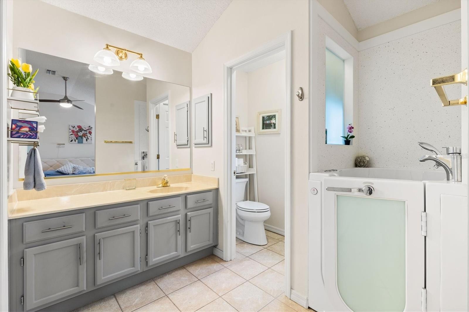 1008 VENTURA DR, THE VILLAGES, FL, 32159