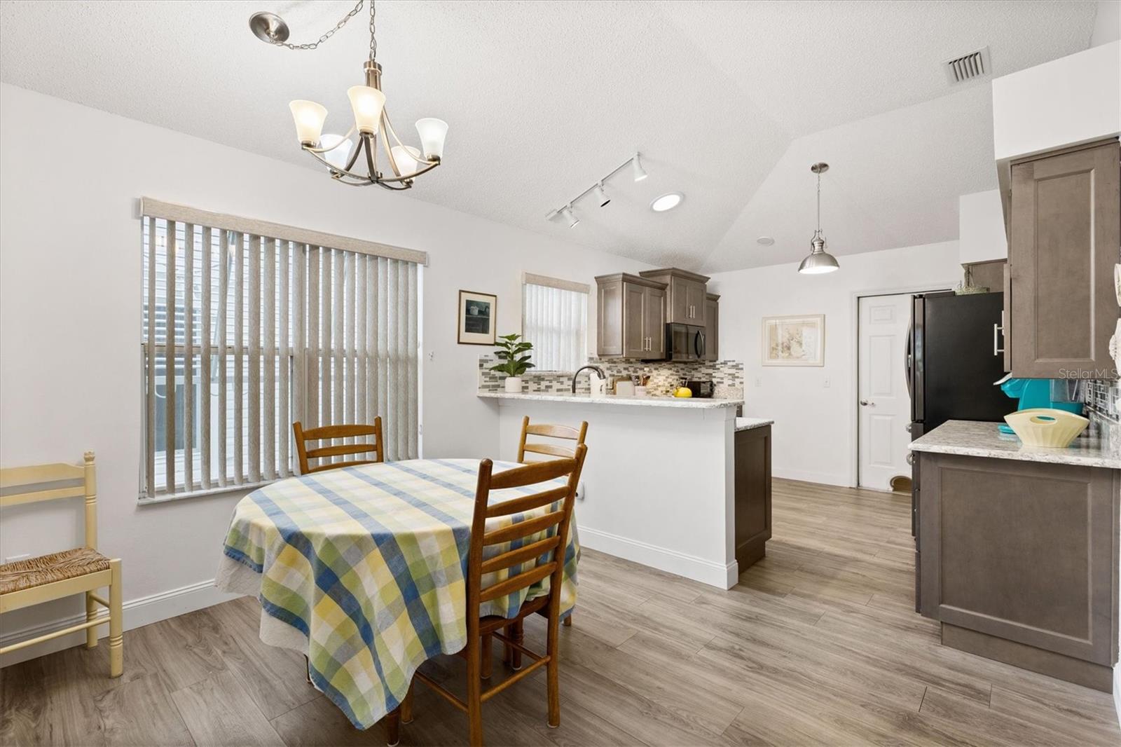 1008 VENTURA DR, THE VILLAGES, FL, 32159