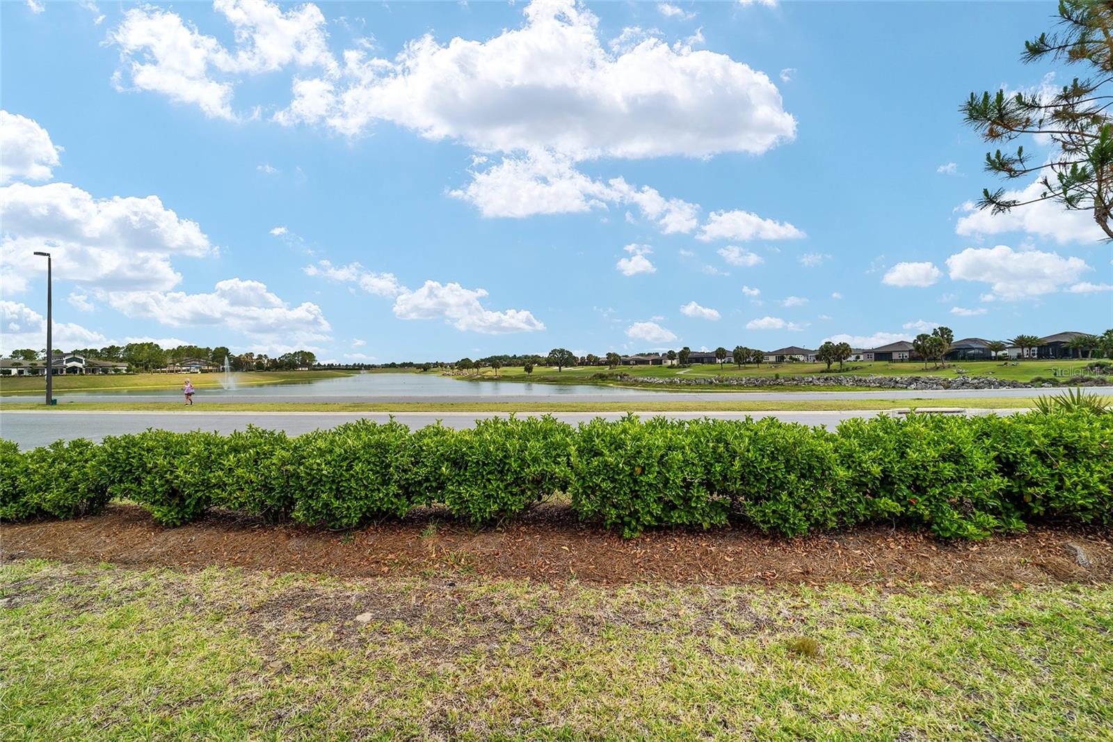 8828 SW 61ST LOOP, OCALA, FL, 34481