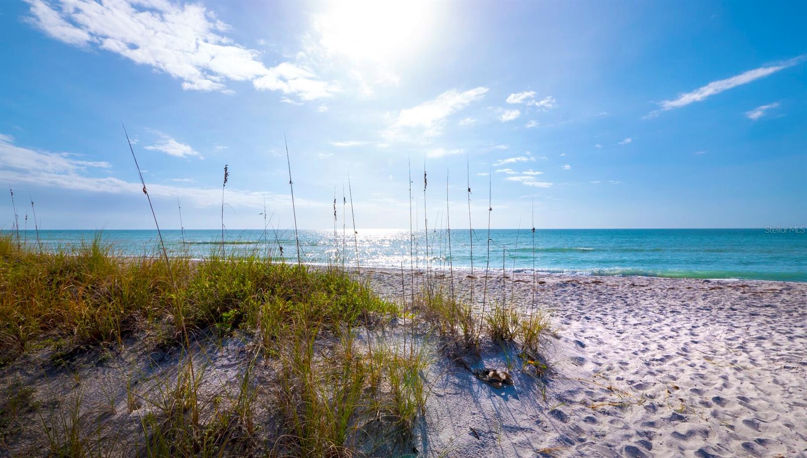 2410 HARBOURSIDE DR #131, LONGBOAT KEY, FL, 34228