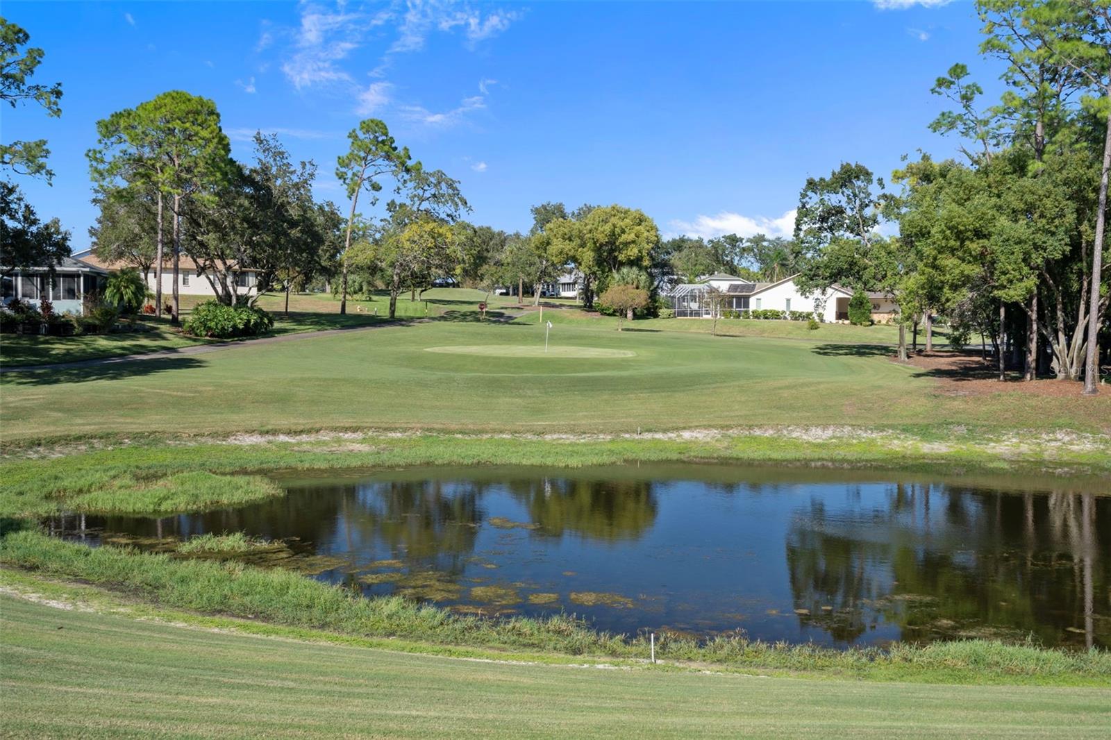 7167 CROWN OAKS DR, SPRING HILL, FL, 34606