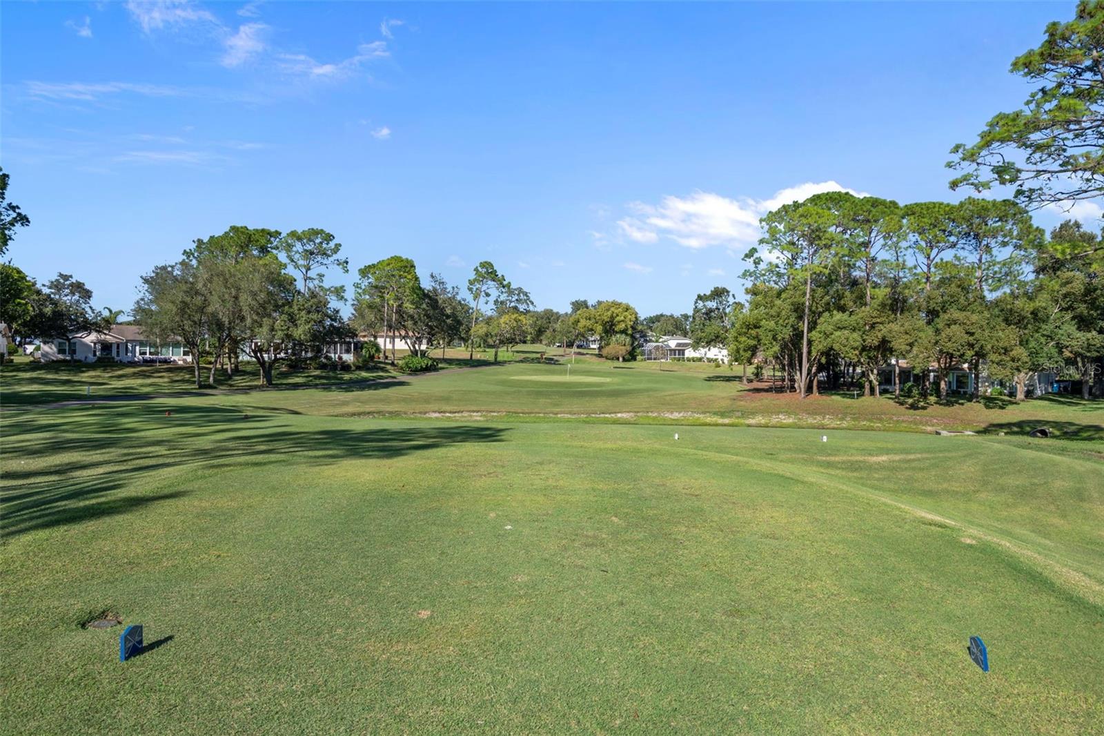 7167 CROWN OAKS DR, SPRING HILL, FL, 34606