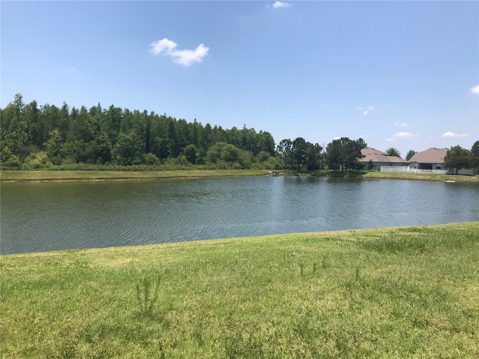 2950 MARSHFIELD PRESERVE WAY, KISSIMMEE, FL, 34746