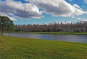 2950 MARSHFIELD PRESERVE WAY, KISSIMMEE, FL, 34746
