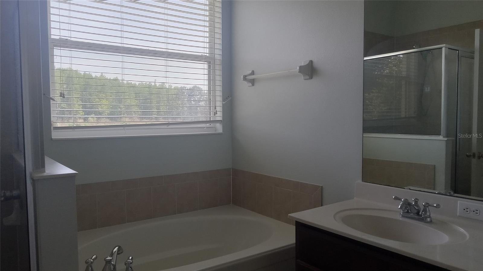 2950 MARSHFIELD PRESERVE WAY, KISSIMMEE, FL, 34746